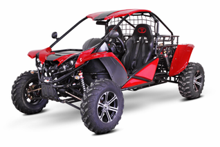 side by side off road buggy